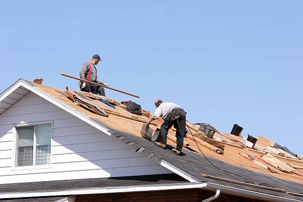 Best Roof Leak Repair  in Daniel, UT
